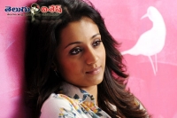 Trisha in aranmanai 2 movie