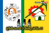 May threee ysrcp main leader shift to tdp