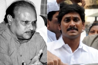 Ap finance minister yanamala ramakrishnudu fires ysr congress party jagan mohan reddy