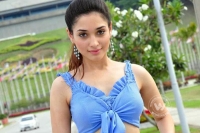 Ntr sukumar movie heroine tamannah