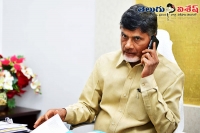 May chandrababu naidu remove five ministers from his cabinet soon