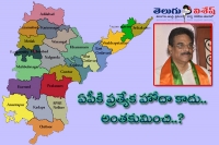 Central govt plans more funds than special status to andhra pradesh mp kambhampati haribabu