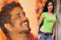 Sonal chouhan to act in nagarjuna s movie