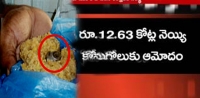 Ghee tenders at tirumala