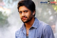 Naga chaitanya movie shooting details