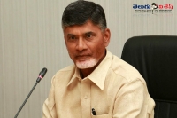 Ap cm chandrababu naidu said that he also belongs to raayalasemachandrababu naidu slam the leader who protesting for raayalasema he said that he is also belongings to raayalasema