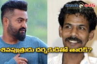 Bala to direct junior ntr in bilingual movie