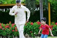 Pm modi wishes chandrababu naidu birthday prays for his long life