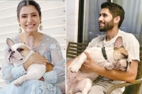 Samantha akkineni shares an adorable picture of hubby naga chaitanya with their pet dog