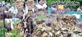 Seemandhra movement effects and 50 crore govt land mafia