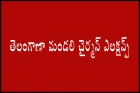 Telangana mandali chairman elections