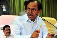 Errabelli dayakar rao comments kcr