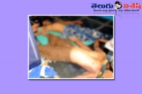 Kurnool gay constables suicide case police investigation