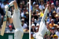 Henry nicholls takes stunning one handed catch to dismiss steve smith