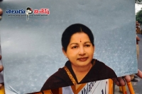 Madras hc on jayalalitha death