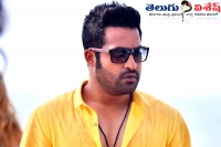 Dil raju to produce ntr next film