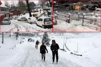 Fresh snowfall disrupts life in kashmir valley