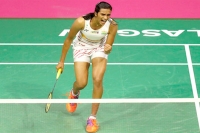 Pv sindhu enters korea open final faces okuhara