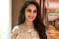 Madhuri dixit nene not planning to fight lok sabha elections