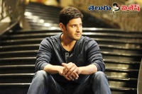 Mahesh srimanthudu benefit show details