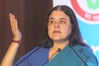 Panel of senior judges to look into metoo cases says maneka gandhi