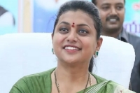 Andhra pradesh minister rk roja s mobile phone stolen in tirupati