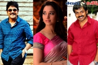 Nagarjuna karthi tamannah movie title dosth