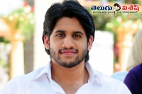 Akkineni naga chaitanya gautam vasudev menon crazy project updates