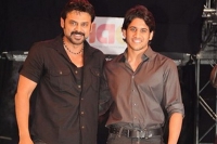 Venkatesh guest role in nagachaithanya majnu