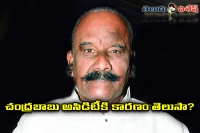 Nayini narasimhareddy satires on chandrababu