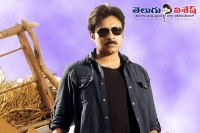 Pawan kalyan romance two heroines gabbar singh 2 anisha ambrose