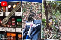 10 foot long python slithers across grocery store shelves curls up behind spices