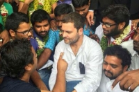 Rahul gandhi fire on hcu student suicide