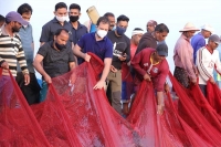 Watch rahul gandhi jumps into the sea swims with fishermen in kerala