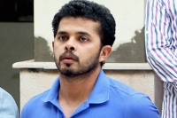 Sreesanth moves kerala high court for lifting bcci ban