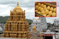 Adulterated ghee used in tirumala laddu prasadam