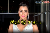 Actress trisha get chance in remake hindhi film queen