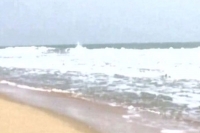 Vardah impact high alert in nellore