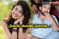 Varun teja and shekarkammula movie heroine saipallavi confirmed