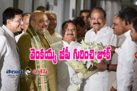 Venkaiah naidu damage to bjp