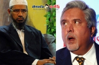 Vijay mallya and zakir nayak arrest fears for india