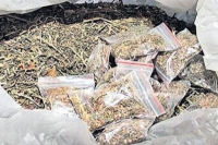 Amazon platform used for smuggling ganja online company responds