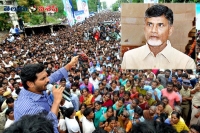 Ys jagan mohan reddy controversial comments on chandrababu naidu guntur hunger strike