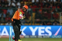 Yuvraj rates ipl title as precious as world cup triumphs