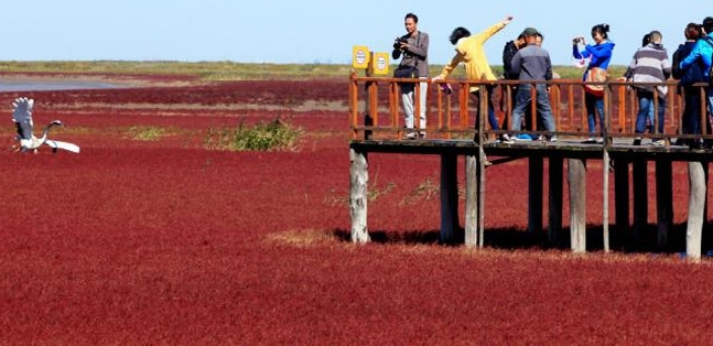 Red beach in china