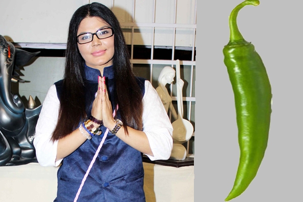 Rakhi sawant keen to contest ls election