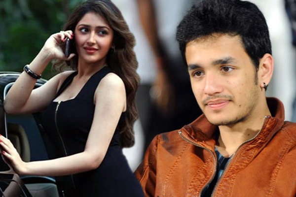 Akkineni akhil romance with sayesha